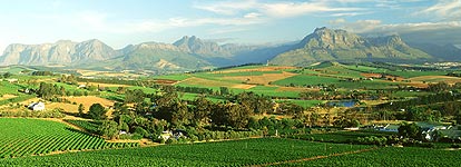 The Cape Winelands